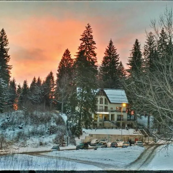 Vila Cristalfrost, hotel in Poiana Brasov