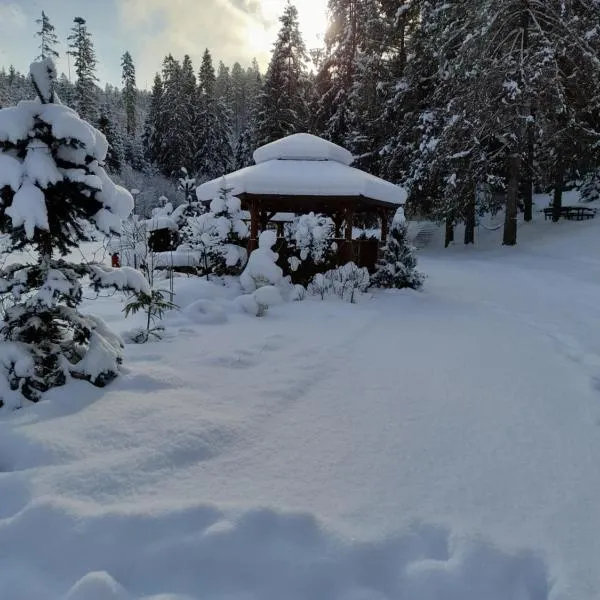 Chaty Studienky，位于Oravský Biely Potok的酒店