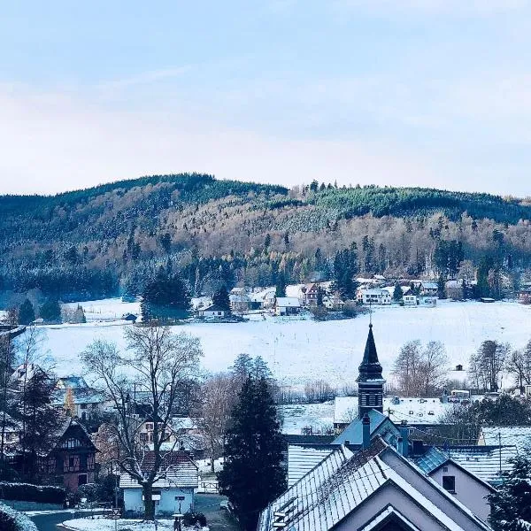 Le Chalet du Hohwald, hotel en Le Hohwald