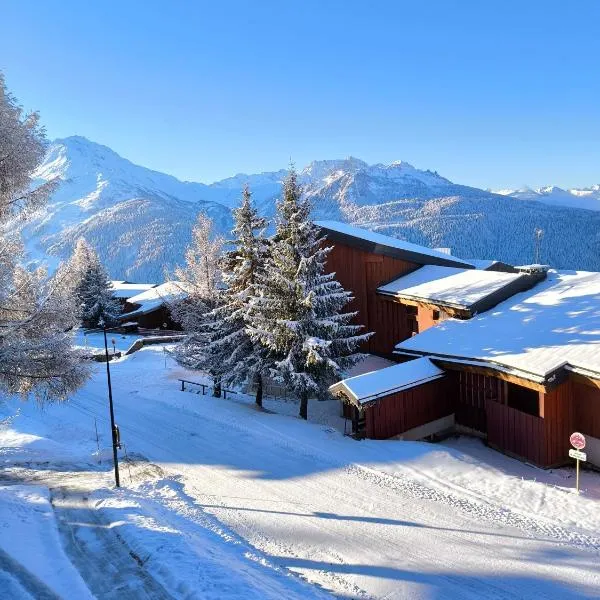 Grand studio au pieds des pistes avec parking privé, hotel em Montvalezan