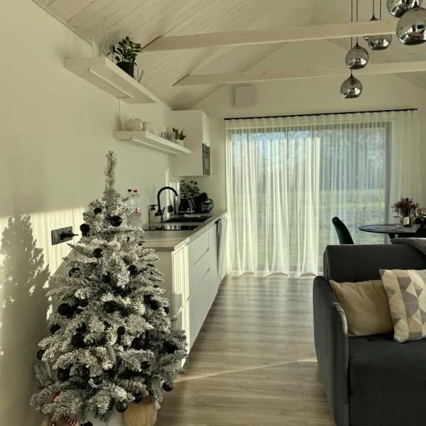 Gabiežezers Holiday House, 30km from Riga, hotel in Cena