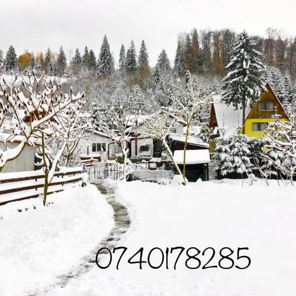 Podul De Brazi, hotel v destinaci Cîrţişoara