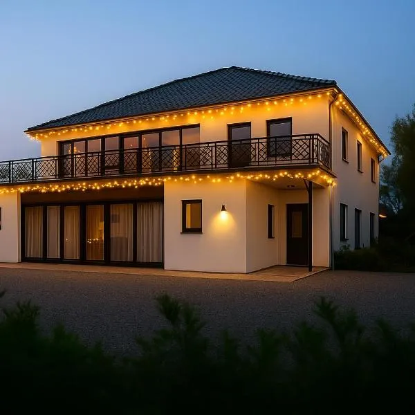 Boutique Hotel Villa Elise, ξενοδοχείο σε Winterswijk