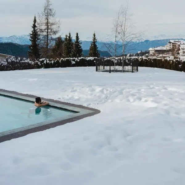 Wellnesshotel Erica, hotel in Nova Ponente