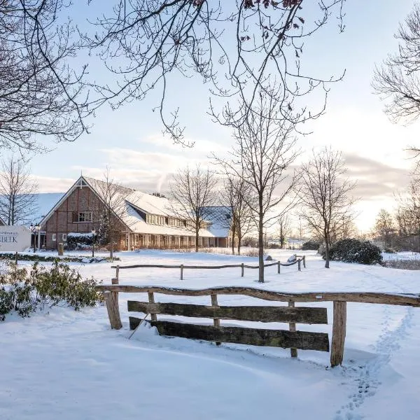 Landhuishotel De Bloemenbeek, Hotel in De Lutte