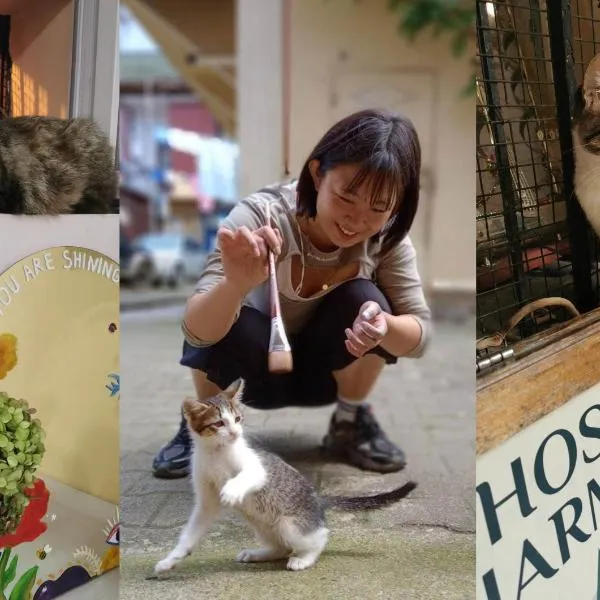 Harmony Backpackers Hostel, hotel in Batumi