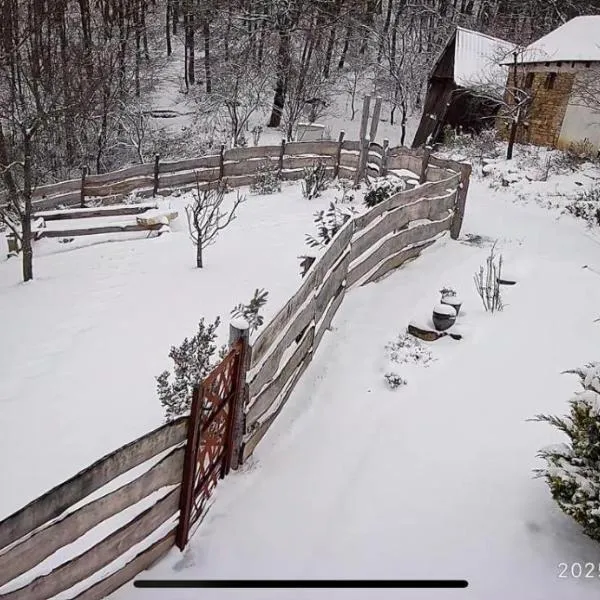 Chata Pavlinka, hotel v destinaci Chvojnica