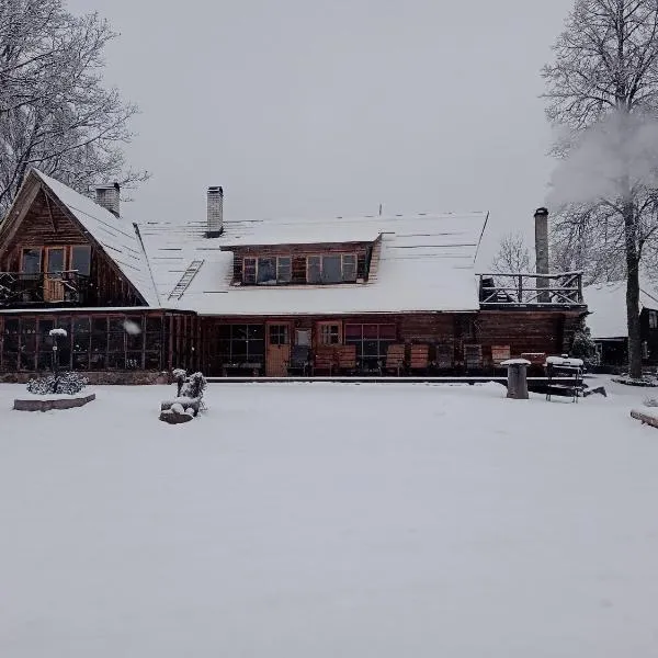 Metsatu Valge Elevandi puhkemaja，位于奥泰佩的酒店