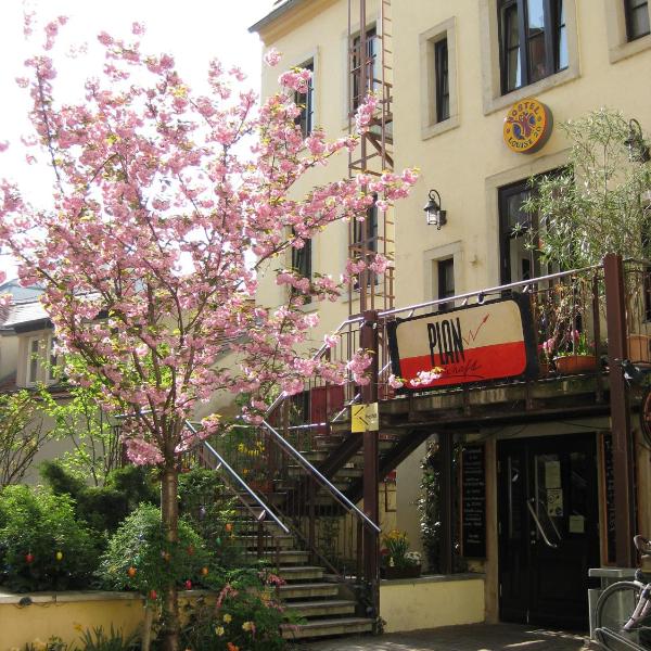 Hostel Louise 20, Dresde