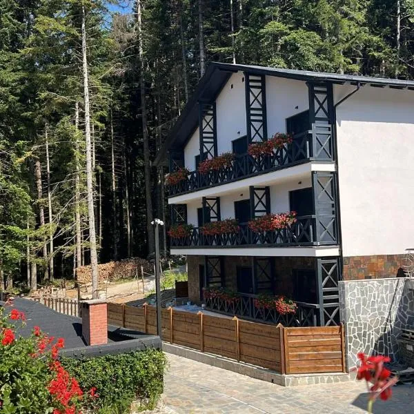 Casa Daria, hotel en Durau