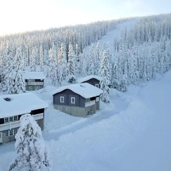 Gula Byn 410, hotel en Sälen