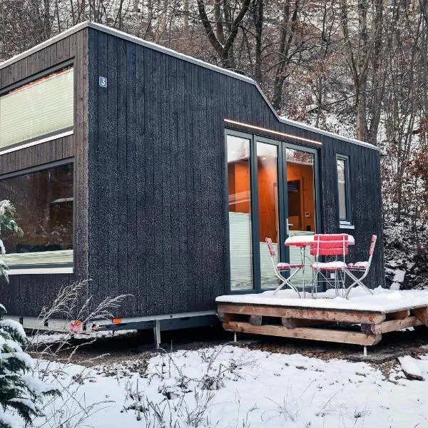 Tiny House Nature 3 - Green Tiny Village Harz, hotel in Osterode