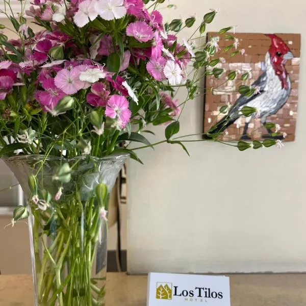 HOTEL LOS TILOS RECONQUISTA, hotel em Reconquista