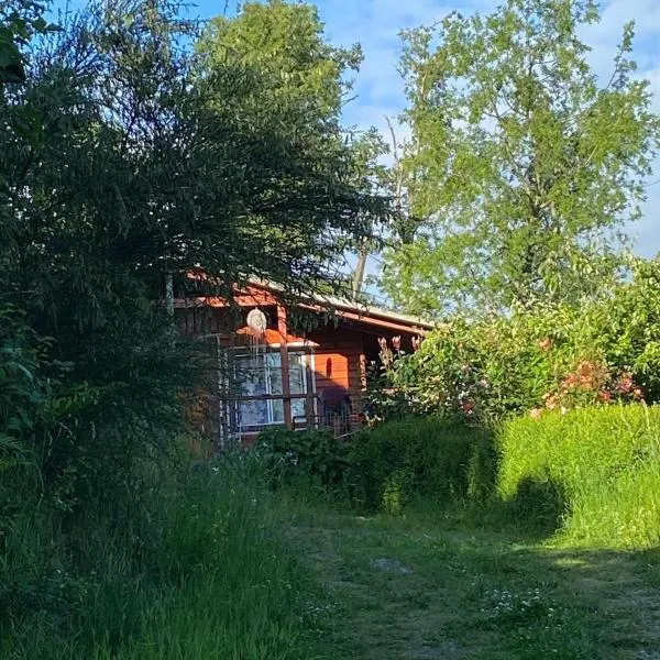 Cabañas La Vovó Futrono, готель у місті Ranco