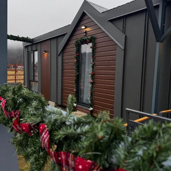 Peak View Tiny House, hotel in Zărneşti