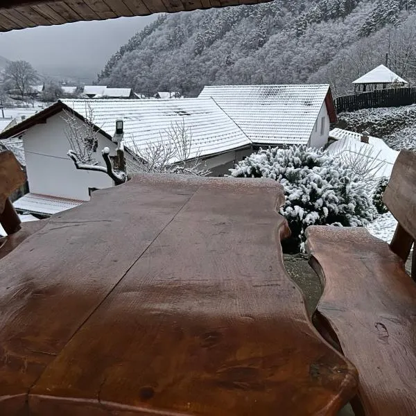 Pensiunea Hanzu Darius, ξενοδοχείο σε Gura Riului