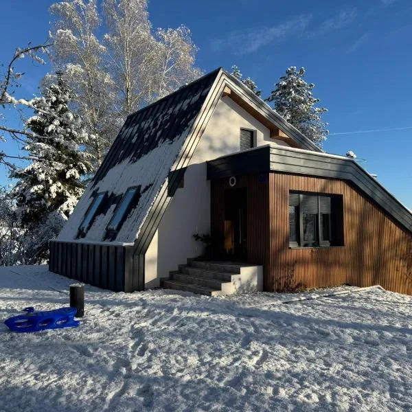 Kuća za odmor Šumska vila, hotel in Duga Resa