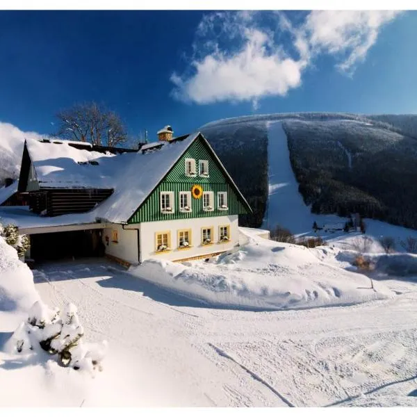 Pension Slunečnice & Panorama Restaurant Farma, hotel in Špindlerův Mlýn