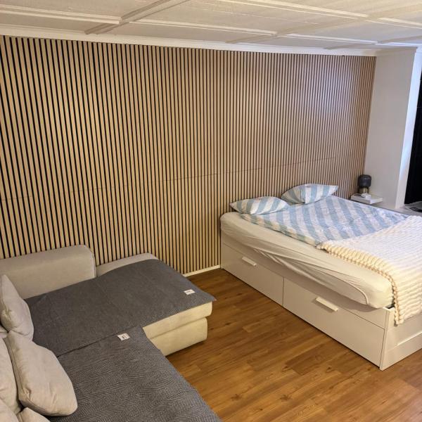 Cozy City Center, 4 Bedroom, New Kitchen, 120sq, 5min walk to Main Station, Basilea