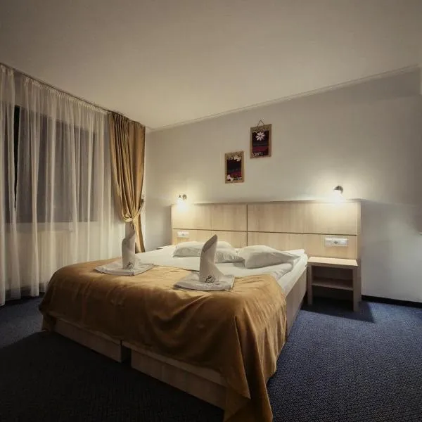 Hotel Claris, hotel v destinaci Văliug