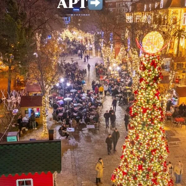 Pedestrian Street Center Apartment, ξενοδοχείο στη Σκόδρα