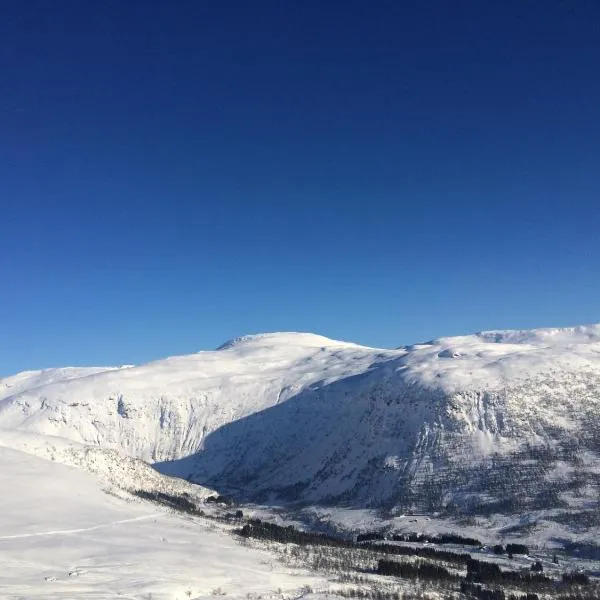 Voss-Oppheim Resort appartment witc acess to swimmingpool, hotel in Øyjordi