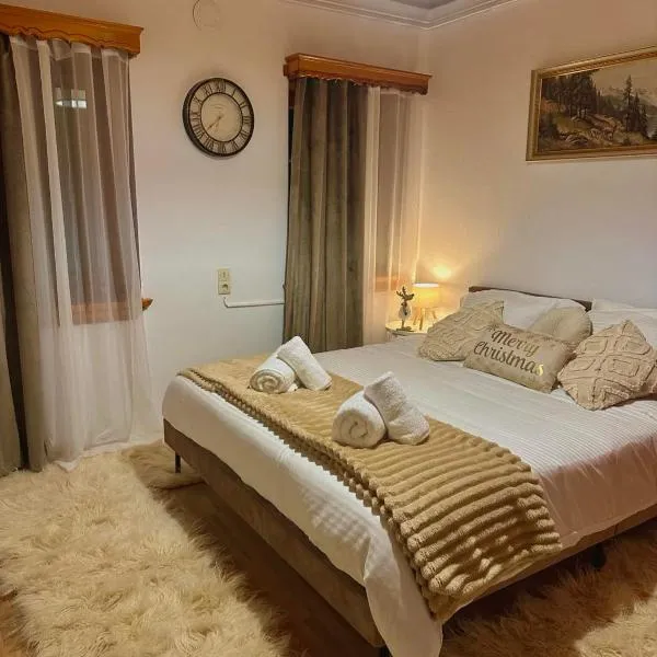 Pindus Nest, hotel em Metsovo