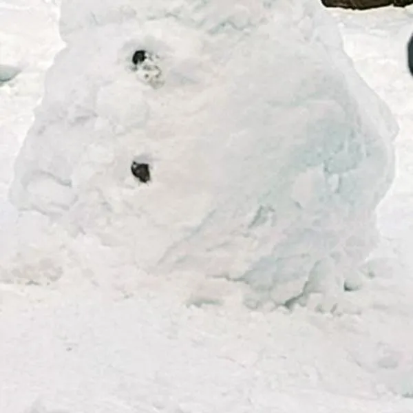Gazdówka na Mosornym Groniu, hotel en Zawoja