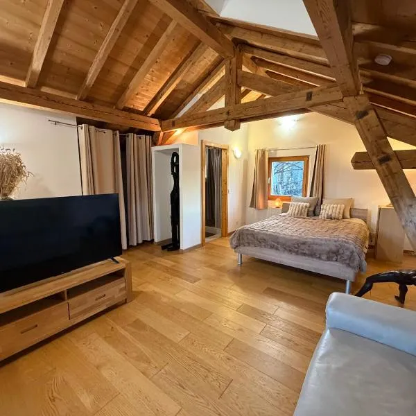 Séjour paisible près de Genève, Hotel in Neydens