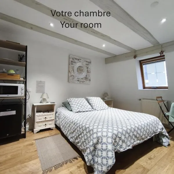 Chambre chez l'habitant - Centre historique - Salle d'eau et WC privés, Hotel in Colmar