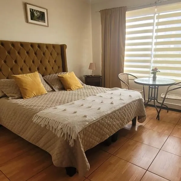 Hospedaje Donde Gabriel 497, hotel en Chillán