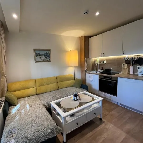 Chamkoria Forest View & Spa Apartment, hotel v destinaci Borovec