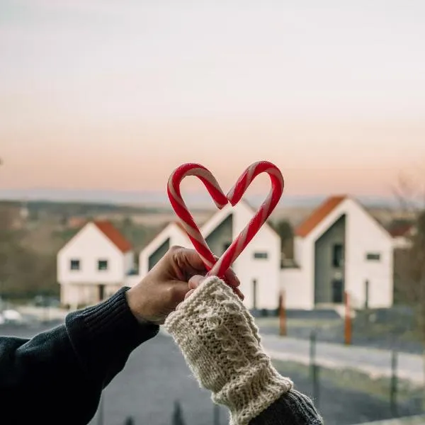 Moje Miejsce Polanica-Zdrój، فندق في بلنيتسا زدري