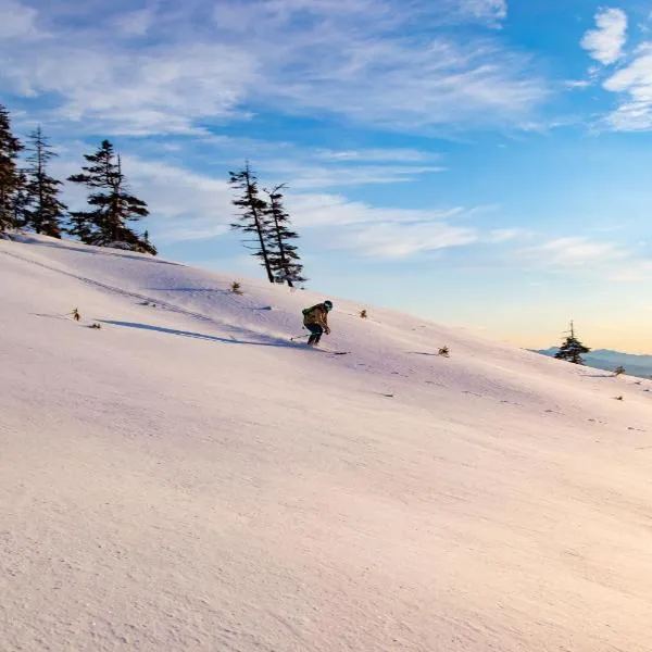 苗場プリンスホテル、湯沢町のホテル