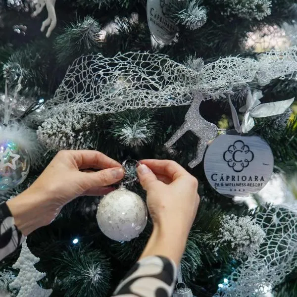 Caprioara Spa&Wellness Resort, hotel v destinaci Covasna