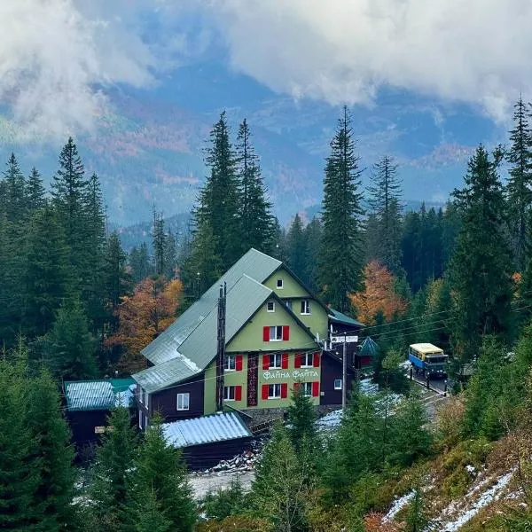 Міні-готель Файна файта, hotel i Drahobrat