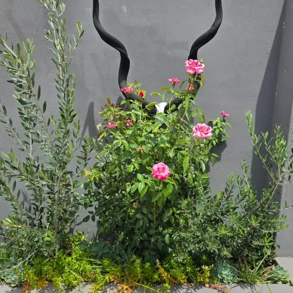 Karoovlaktes, khách sạn ở Prieska