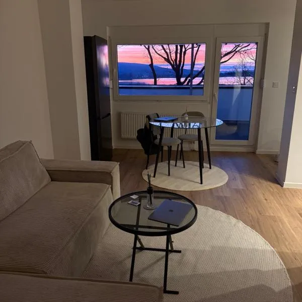 Konstanz Lakeside Apartment, hotel in Reichenau