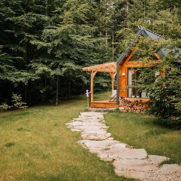 Viesnīca Tiny house nad potokiem pilsētā Sidzina