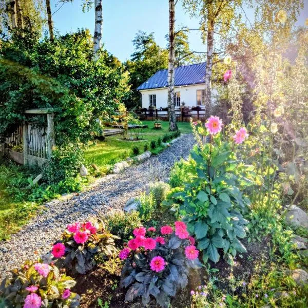 Ales BnB Lägenheten，Löderup的飯店