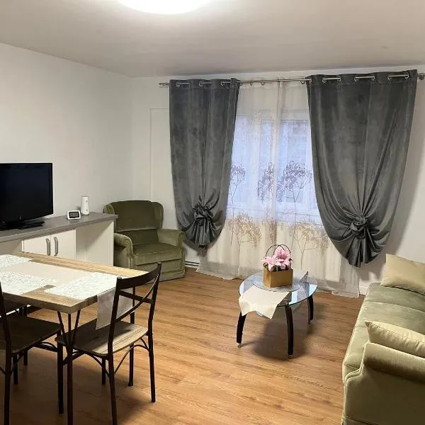 Apartament ilie, khách sạn ở Satu Mare