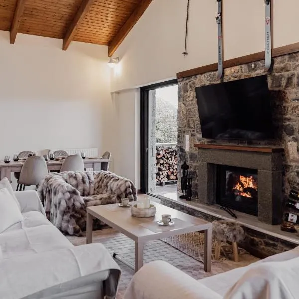 Helmos Euphoria Chalets,卡拉夫里塔的飯店