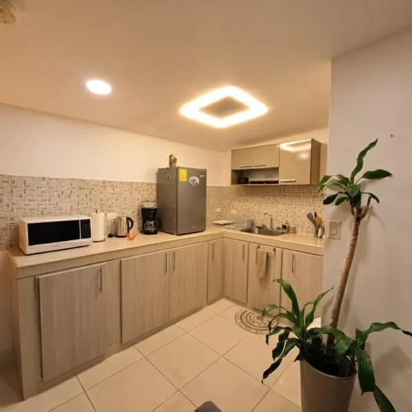 Tocumen Airport Los Corcho Suites，Tapia Número Dos的飯店