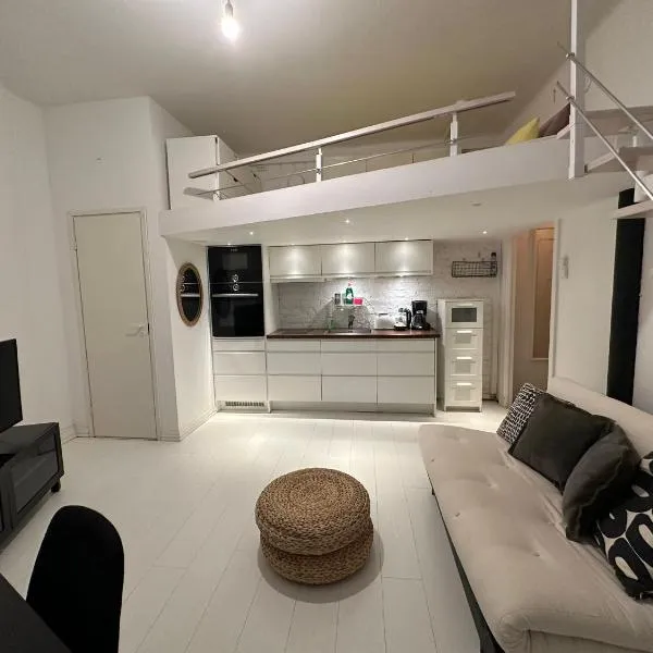 Bright Loft Apartment Steps From Linnanmäki & Alppipuisto, hotel v Helsinkách