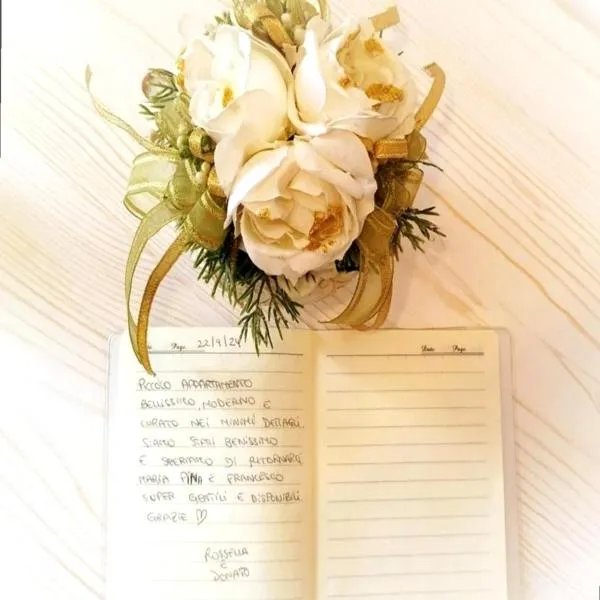 Calin Apartment, hotel v Turíně