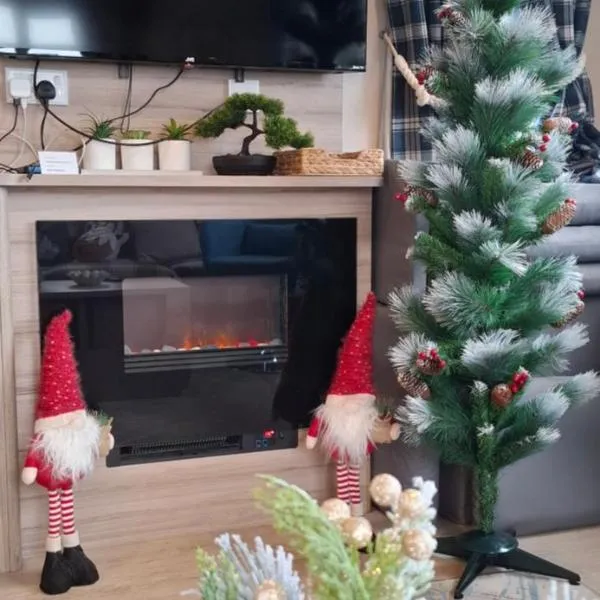 Sea view holiday home with accessible ramp and WiFi - no entertainment and venues access on the park, hotel em Port Seton