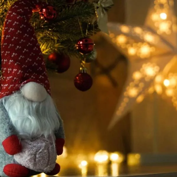 Hop Kop, отель в Копаонике