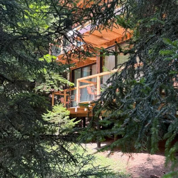ECHIVITI Cottages in Abastumani, hotel in Abastumani