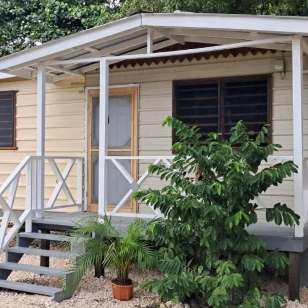 Delva's Villa - Cozy Home near Airport, hotel a Ladyville