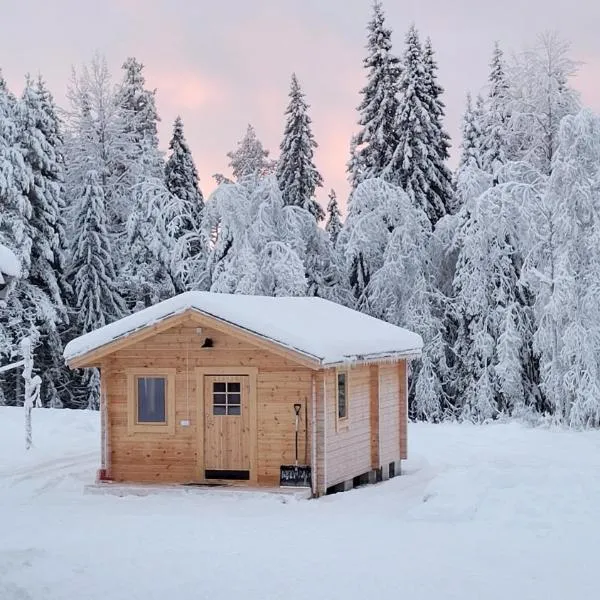 Webers Tiny House,Rentjärn的飯店